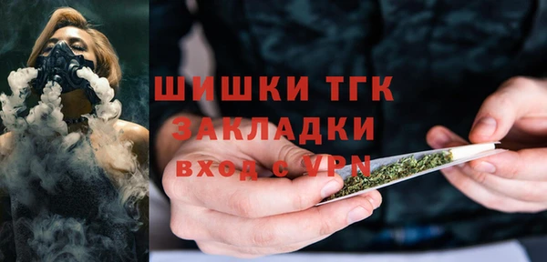 МДПВ Богородск