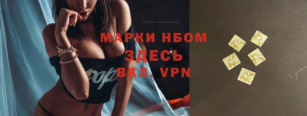 МДПВ Богородск