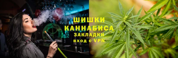 МДПВ Богородск