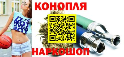 крисы Кулебаки