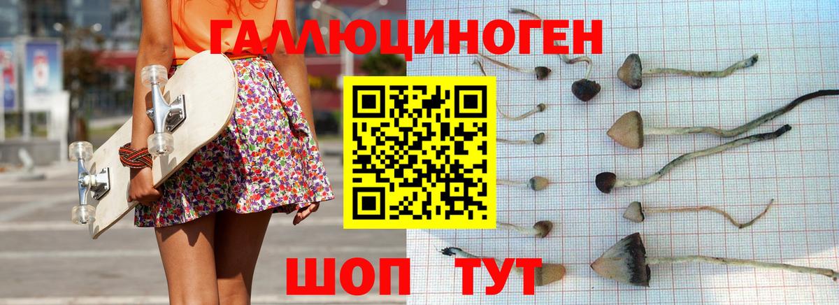Галлюциногенные грибы MAGIC MUSHROOMS Ставрополь