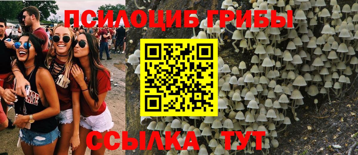 Псилоцибиновые грибы MAGIC MUSHROOMS  Вход с VPN  Псилоцибиновые грибы Psilocybe  Ставрополь 